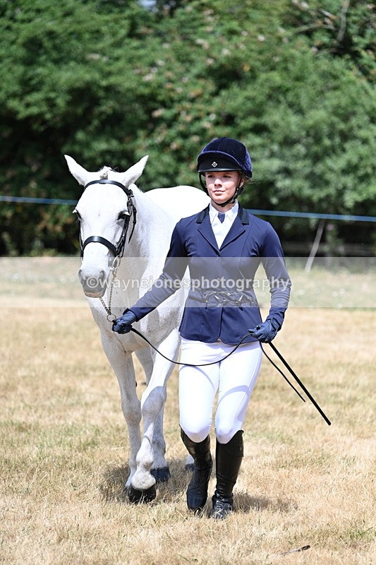 WJ7_1601 - Class 4 Prettiest Mare up to 14.2hh in hand