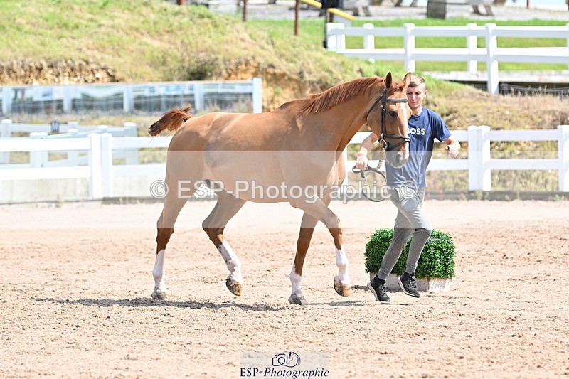 240717A-151257-02644 - Trot Up 3pm to 4pm