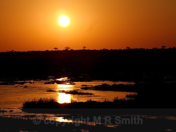 Reflected Sunset - LANDSCAPES & TREES