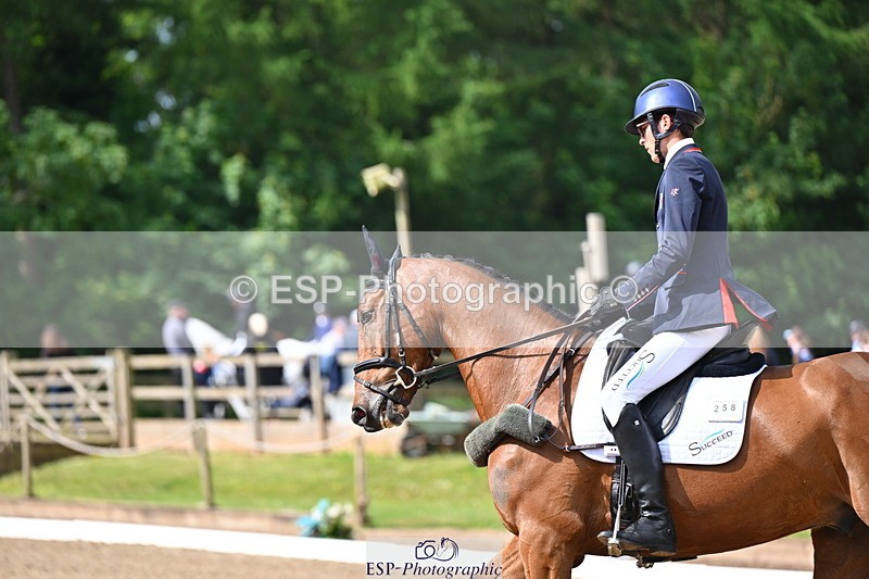 250523A-094215-05321 - C-258-Bill.Levett-ITALIAN.HARLEQUIN.NJ