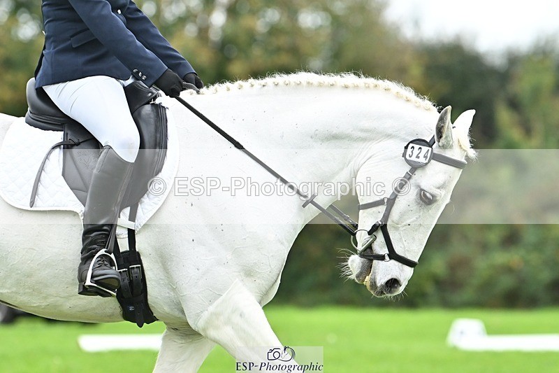 241024-121719-02687 - 324-Helena.Pope-ROSSALOUGHA.TED