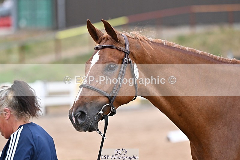 250716-164908-00777 - Trot Up 4.30 to 5.00