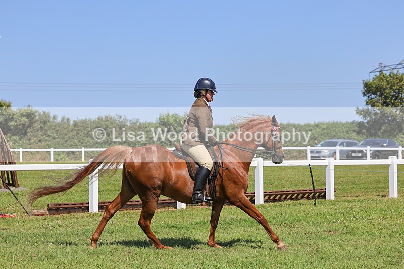 IMG_2219 - Class 37: Pure, Anglo & Part Bred Ridden Arab