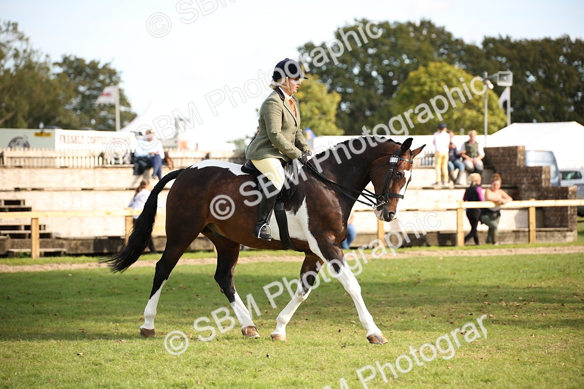 SBM_50173 - S26 - Young Veteran - Ridden