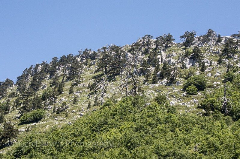 9321 Pollino Massif - Basilicata