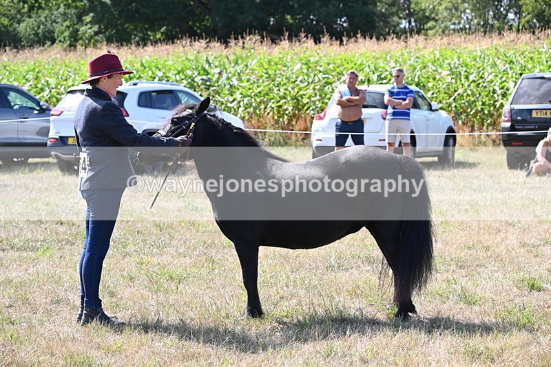 WJ6_4937 - Class 17 Mountain & Moorland