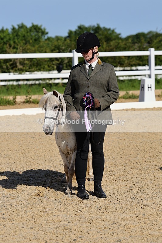 1X9A0710 - Class 3: Youngstock 1, 2, 3 year old not to exceed 153cm