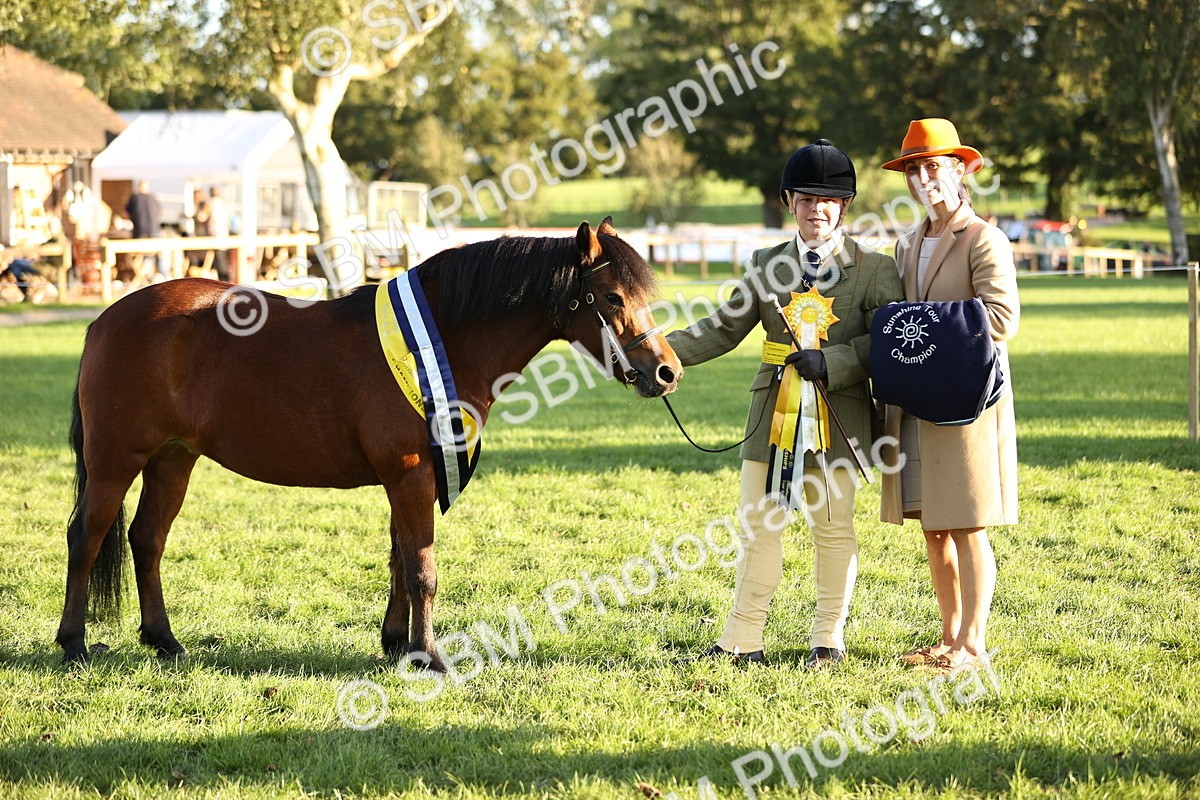 SBM_30130 - Novice & Newcomers Supreme Championship