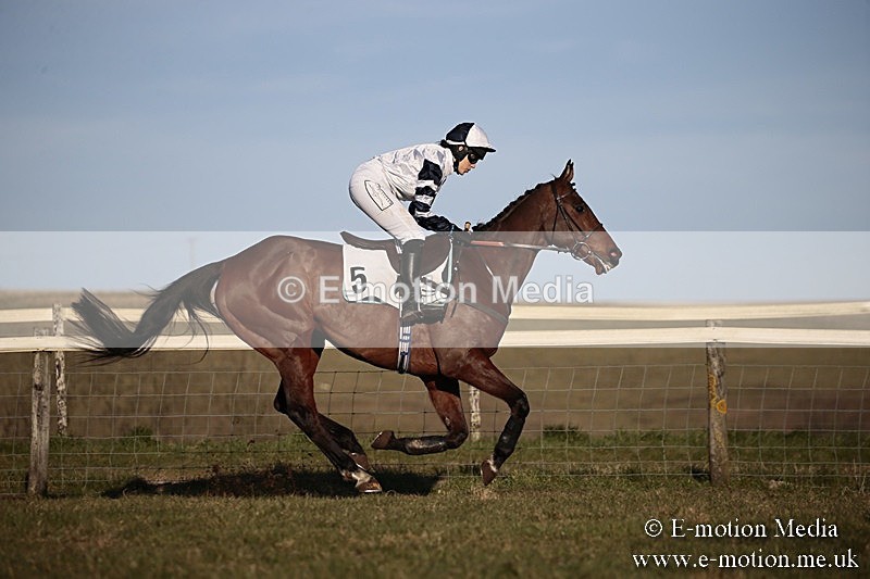 PtP 240218 666 - Vine & Craven Hunt Point-to-Point Barbury racecourse 24/02/18
