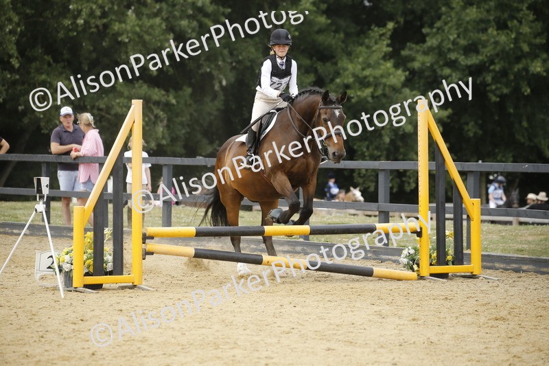 20250622-5980 - 60cm