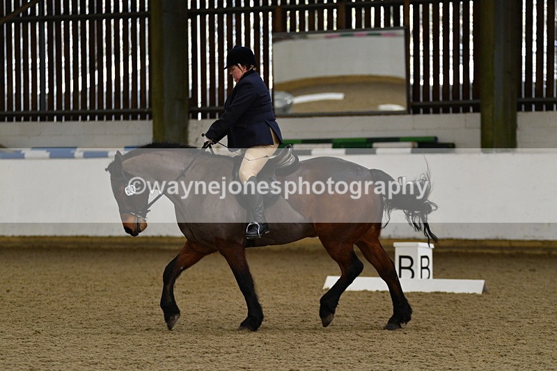 WJ5_2309 - Time 11:12 to 11:55