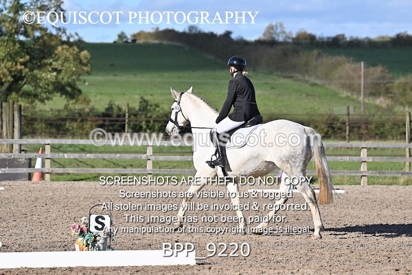 BPP_9220 - SHORT ARENA