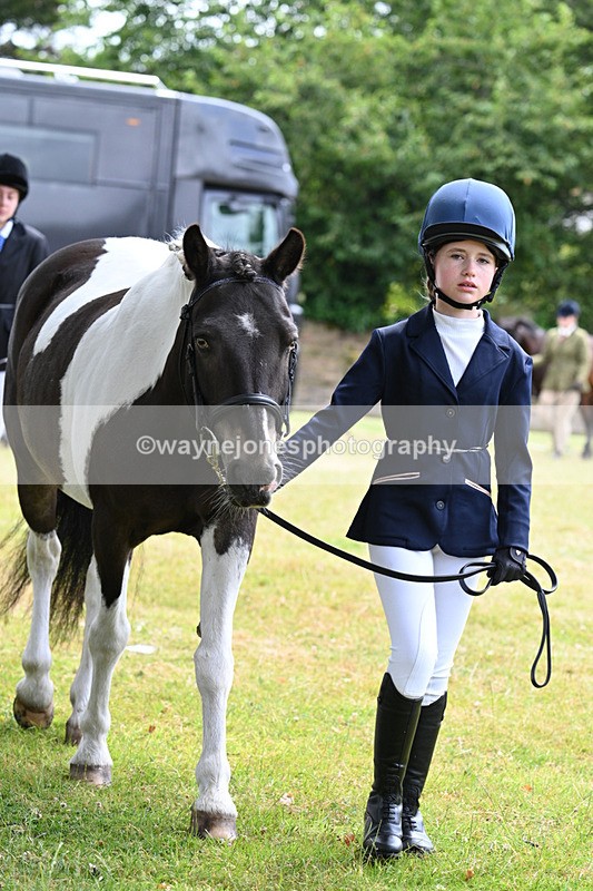 WJ7_6484 - Class 5 Handsome Gelding in hand