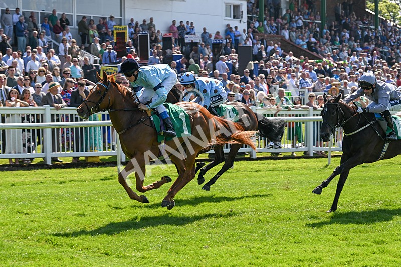 180524-Race 2-Bountiful-9263 - Race 2