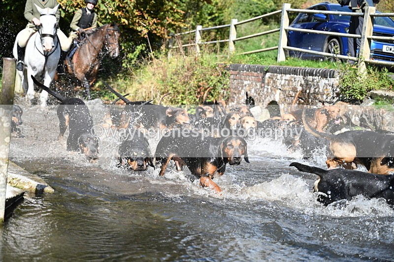 WJ7_5978 - Hounds Water Crossing