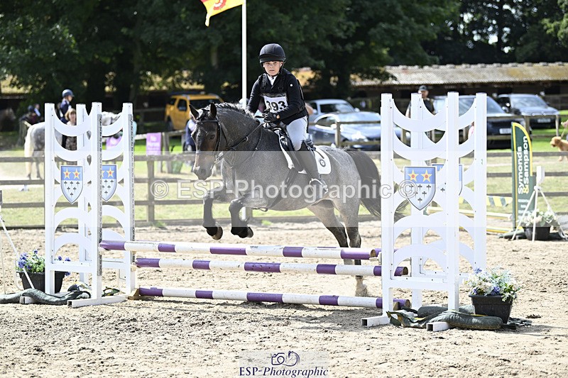 240823X-121316-16427 - 60cm R2 11.00 to 12.30