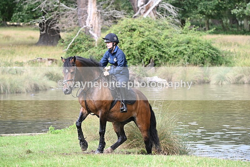 WJ7_1109 - Time at Water 10:09 to 10:47