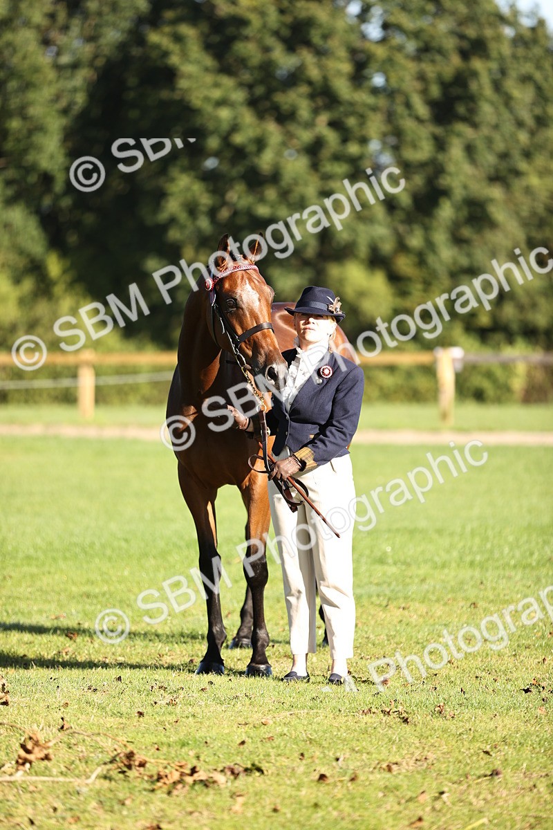SBM_15675 - S1 - TSR in Hand Horse & Pony Showing