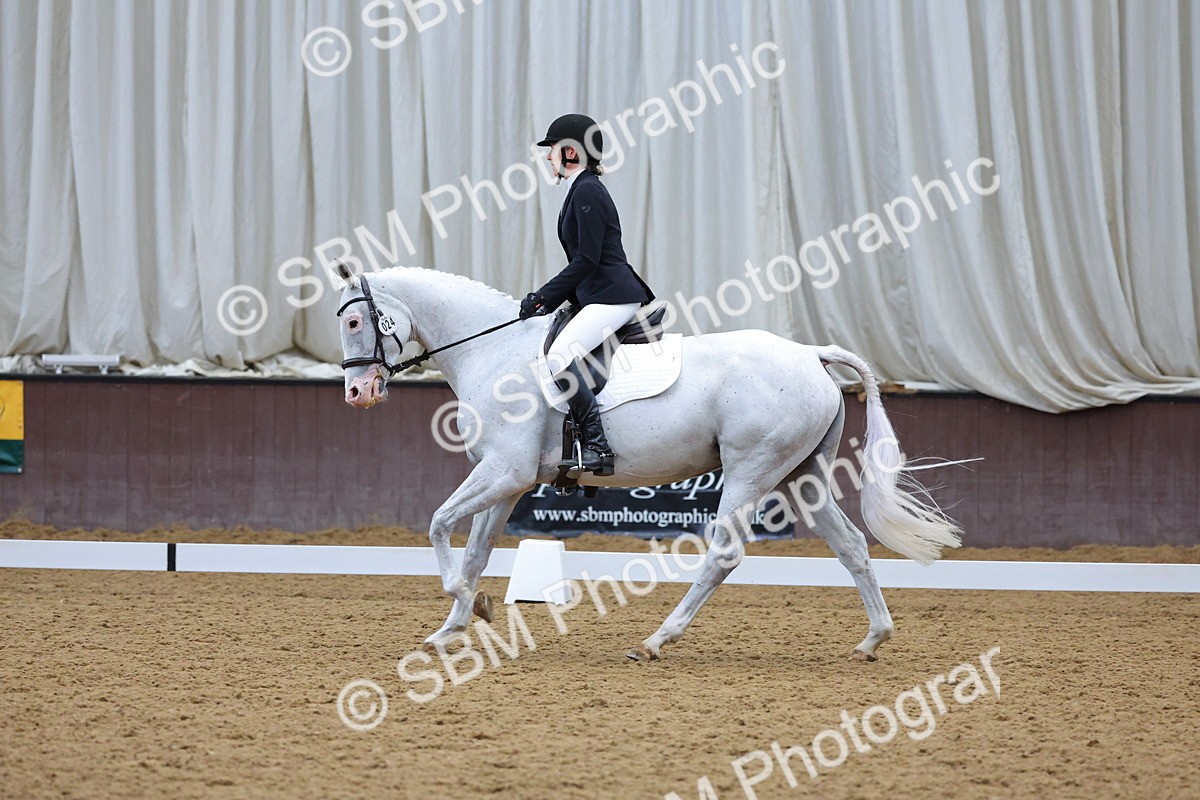 SBM_001919 - Class 5 - Novice 3