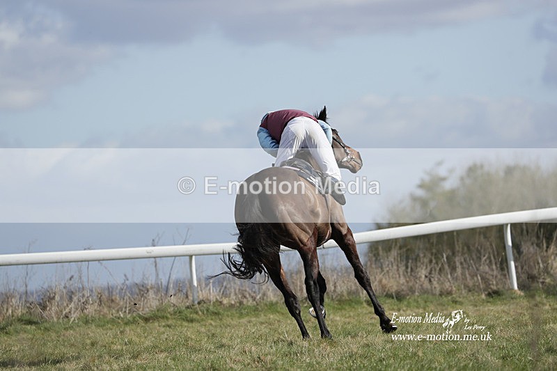 PtP 260223 520 - South & West Wilts Point-to-Point Larkhill 26/02/23