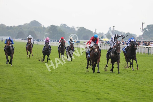 yr09102021r3-15 - Race 3 2.37pm Play Coral Racing-Super-Series For Free Handicap