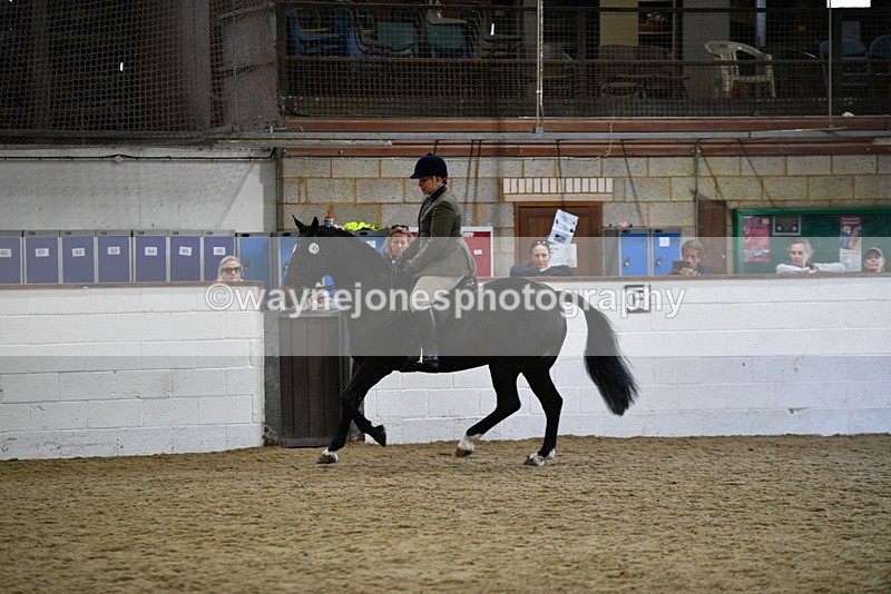 WJ5_7824 - Class 13 Ridden Part Breed