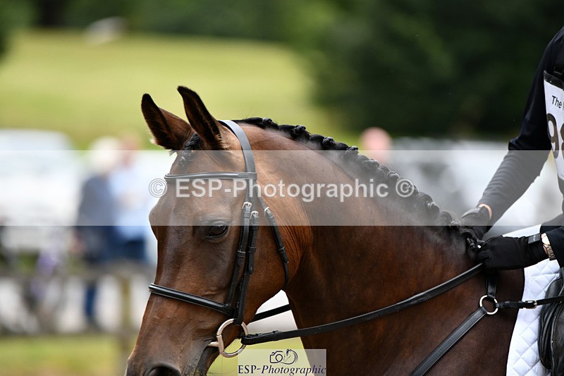 240825X-172532-37036 - 80cm SJ 16.00 to 17.26