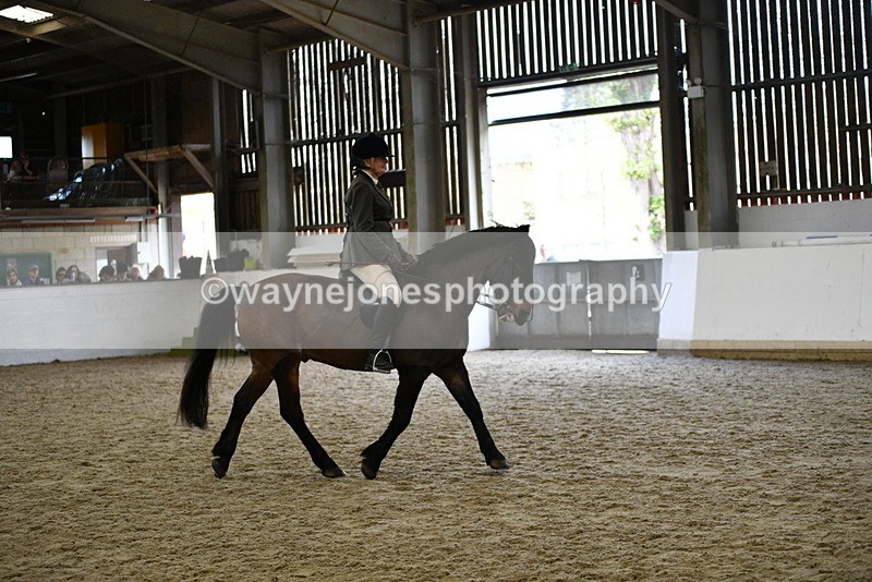 WJ5_6165 - Class 9 Ridden Veteran