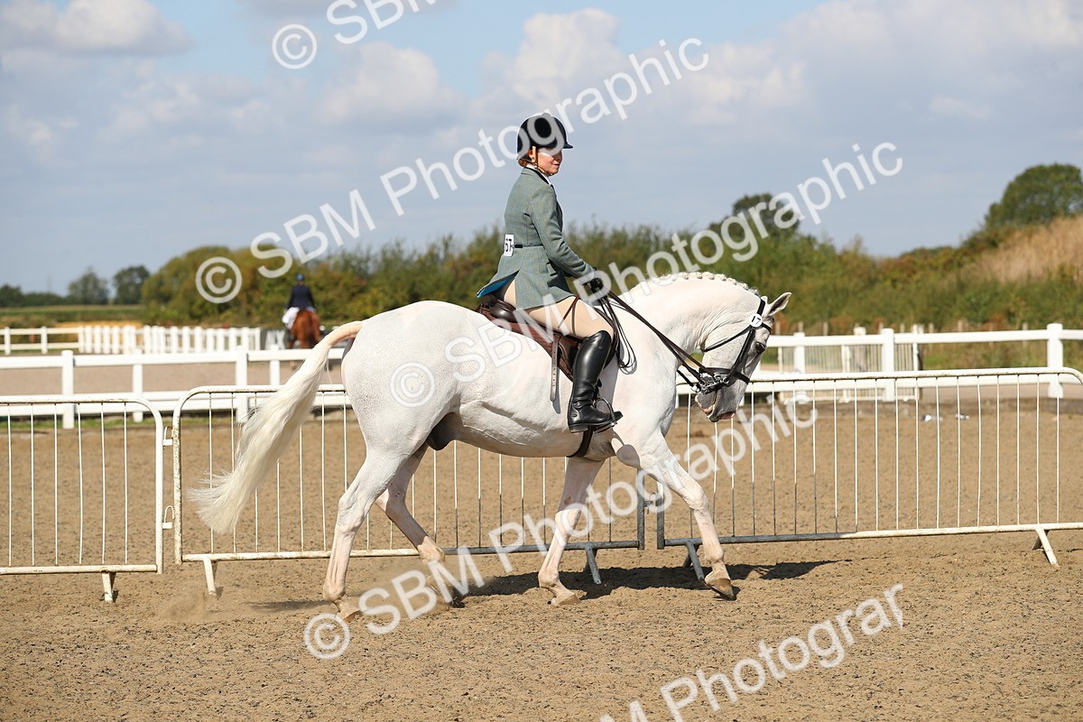 SBM_03119 - Class 44 Riding Club Horse/ Pony