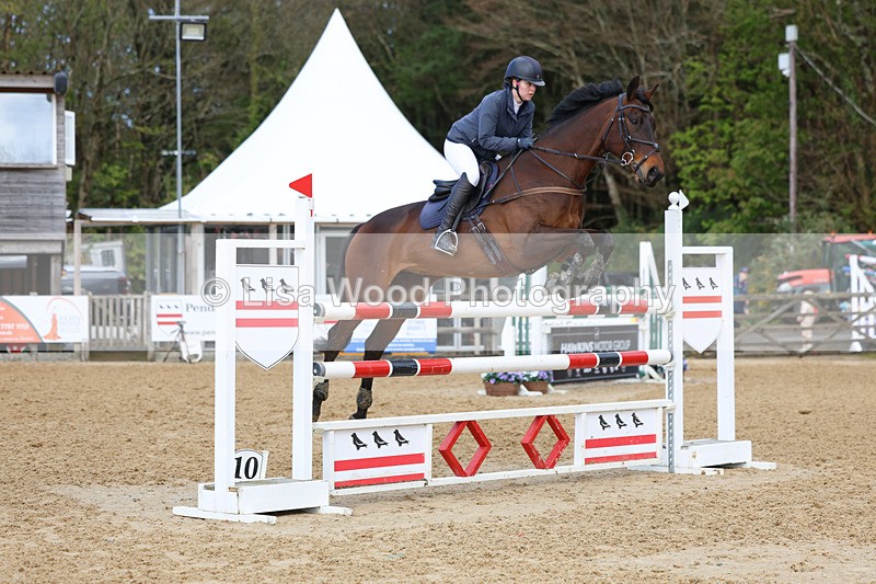 3E7A2085 - Class 8: Senior Foxhunter/1.20 open