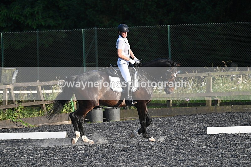 WJ7_0432 - Time 19:38 to 20:00