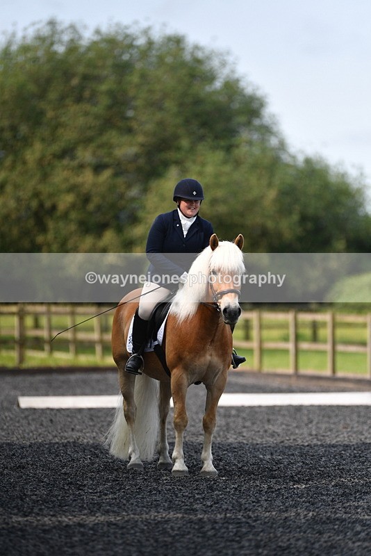 WJ5_9244 - Time 10:10 to 10:47