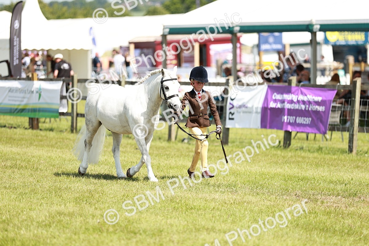 SBM_13574 - Class 108-109 - BSPS LIHS Open Gradle & Nursery Stakes