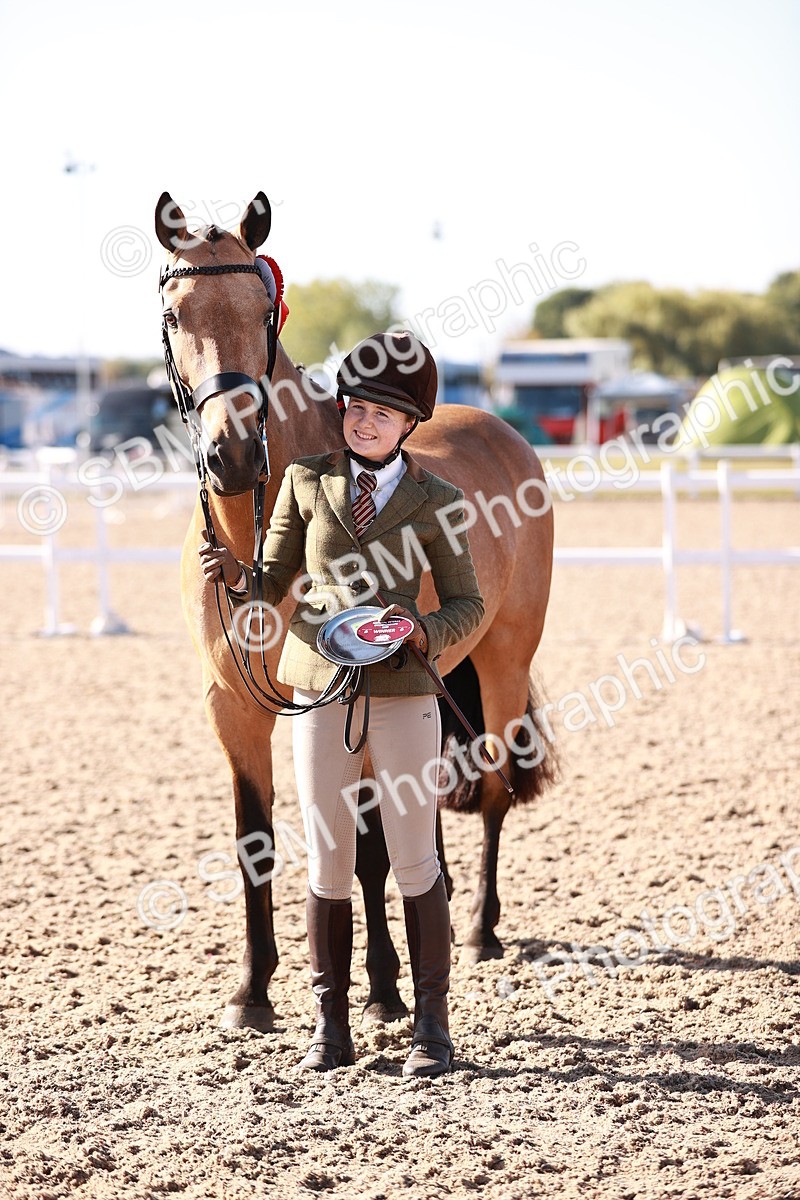 SBM_22087 - Class 703 - IH Coloured