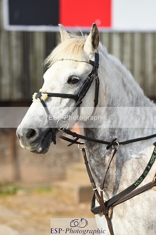 230817-084544-01581 - Kay's 1st Group - Arena