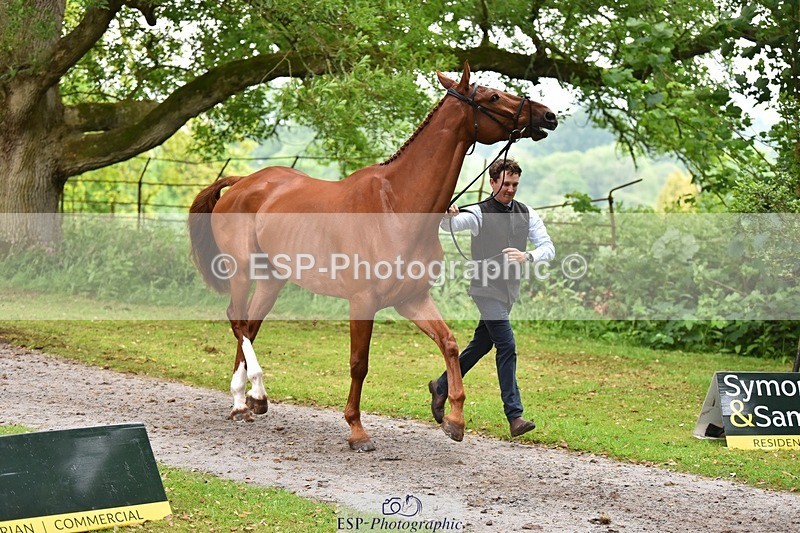 240522-171546-01488 - 280-SHANNONDALE_ARNOLD-Tom_McEwen