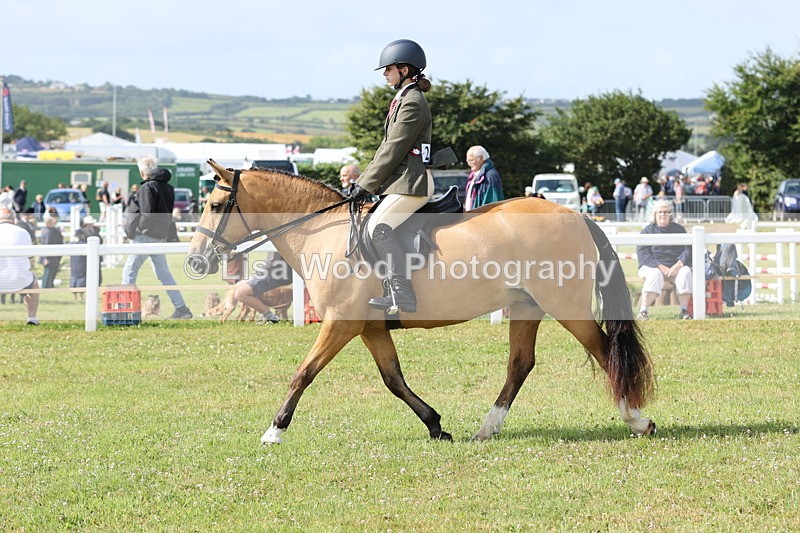 JPP_0848 - Class 16: Cornish Combination Young Rider