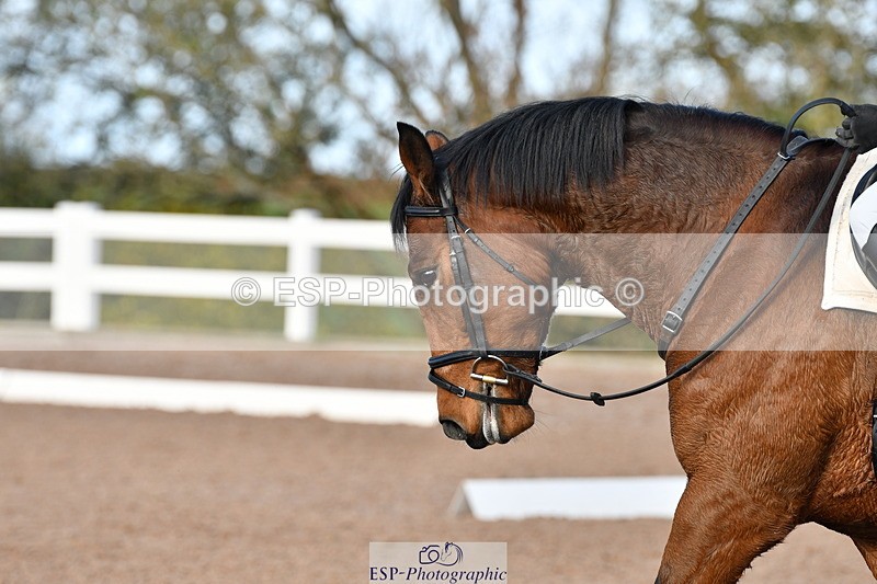 231105A-105410-00168 - UnAf Prelim 18