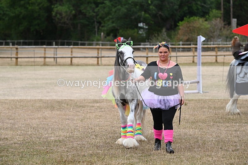 WJ6_8873 - Class 11 Fancy Dress