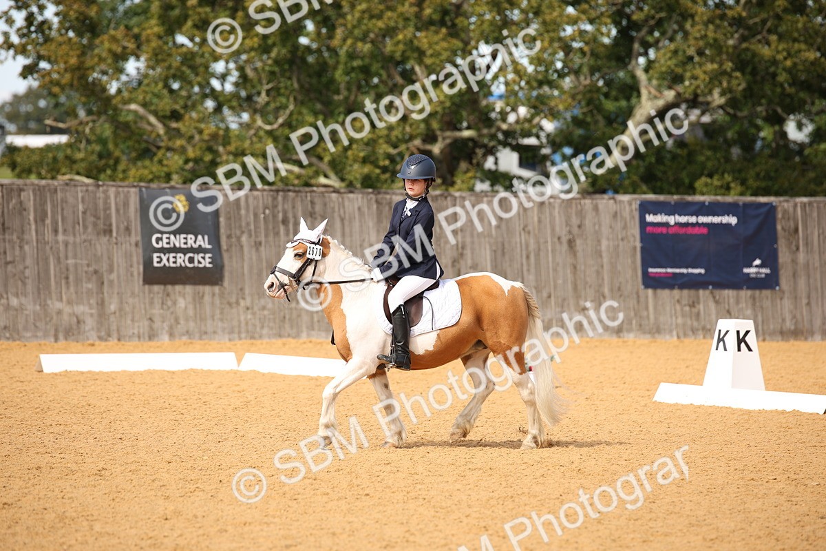 SBM_21805 - D5 - Small Tour Championship - Intro C