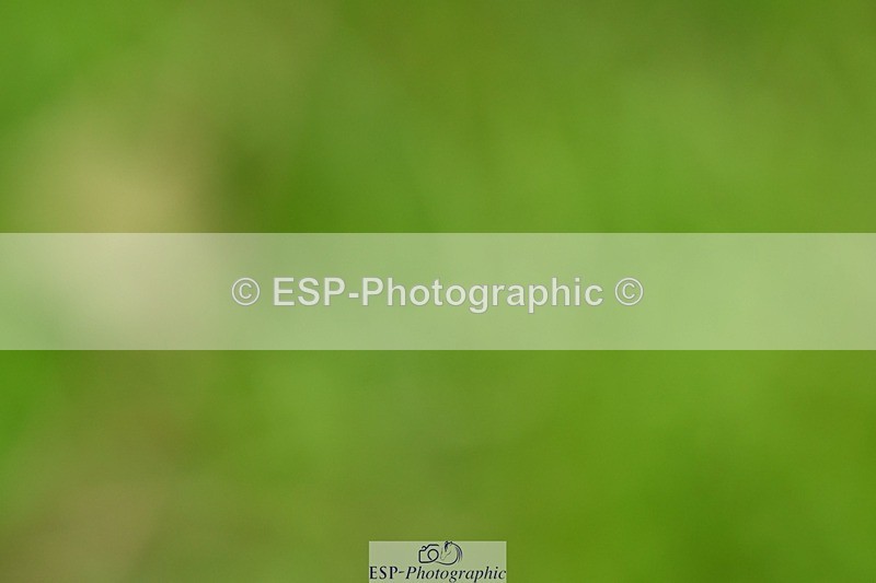 231110-130146-01522 - Cls 6 Elementary 57Q