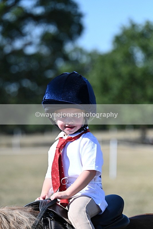 WJ7_1499 - Class 42 Most Handsome Gelding