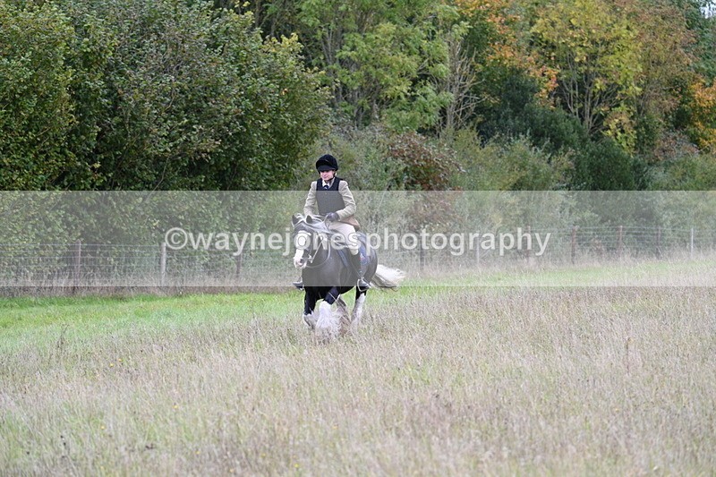 WJ7_3958 - Camera 1 Line 1