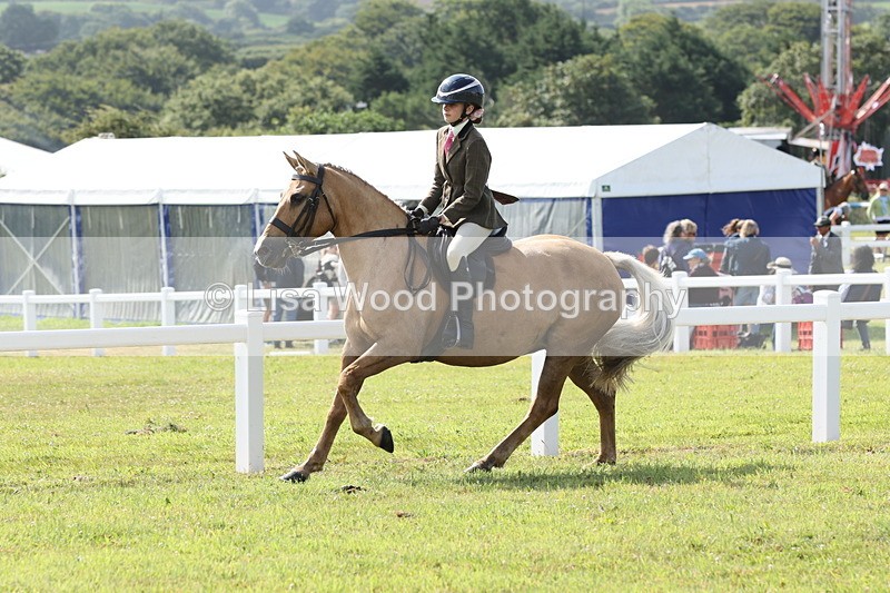 JPP_0831 - Class 16: Cornish Combination Young Rider