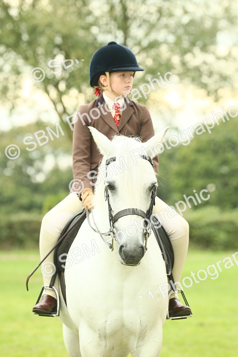 SBM_72264 - S60 - Mountain & Moorland Ridden Large Breeds