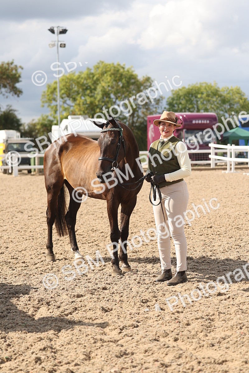 SBM_06878 - Class 25 - IH Foreign Breeds - Purebred