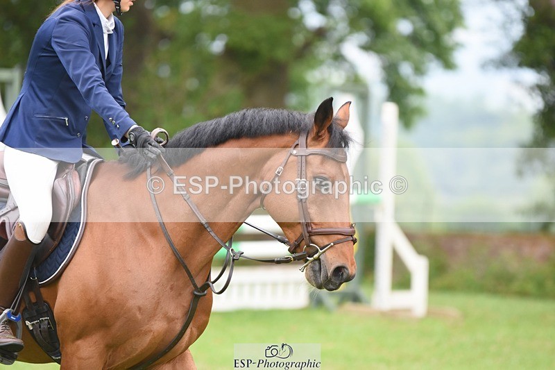 230618-101554-10329 - Cls 28 British Novice & 80cm Open