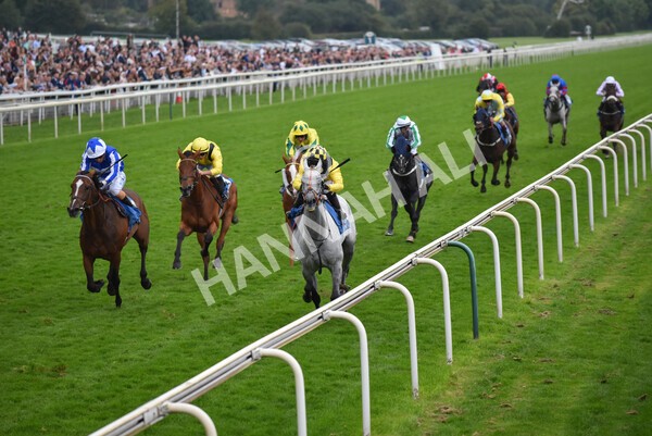 yr09102021r6-17 - Race 6 4.25pm Coral Best Odds Guaranteed Handicap