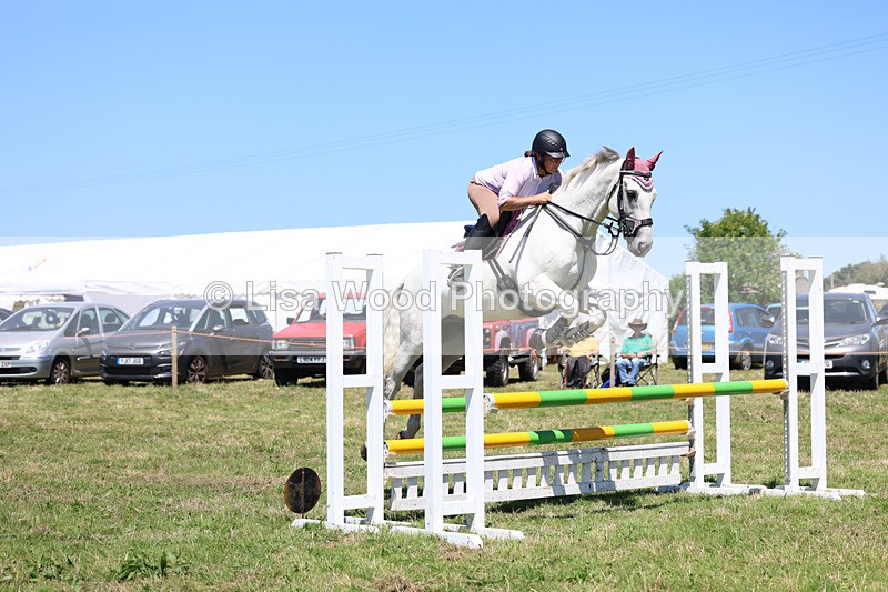3E7A5639 - Class 9: Senior British Novice/90cm open