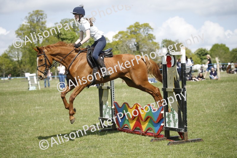 20250427-3530 - Class 14 - Absolute Novice 70cm
